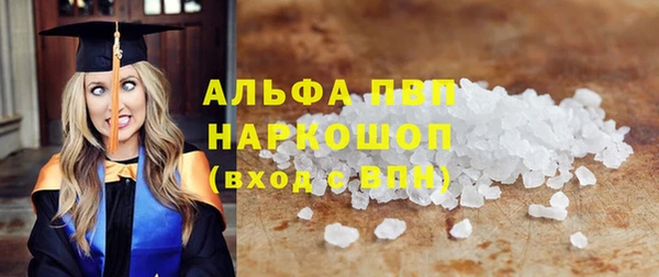 прущие грибы Няндома