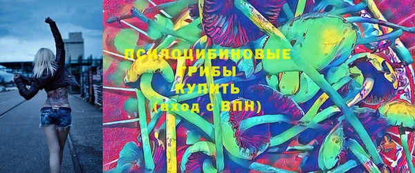прущая мука Армянск