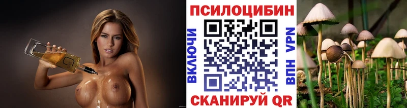 Галлюциногенные грибы прущие грибы  Печоры 